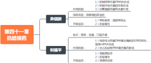 第四十一章抗结核药