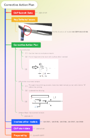 Corrective Action Plan