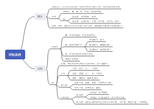 呼吸系统思维导图
