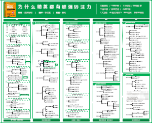 为什么精英都有超强专注力