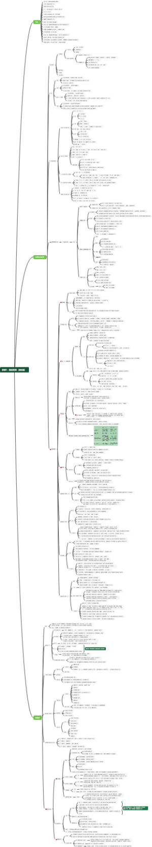 影像7、消化系统（消化道）