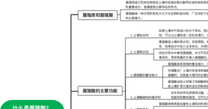 腐殖酸思维导图