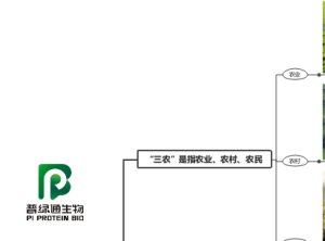 说三农，道三农究竟什么是三农