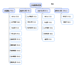 组织架构图-上海莫伽