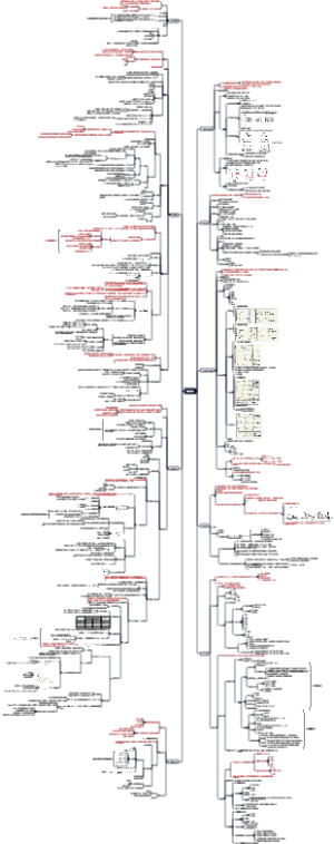 高中数学各分支一览