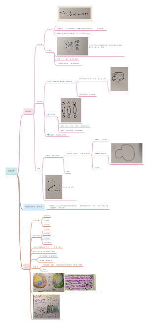 高中生物必修一第三章细胞质思维导图