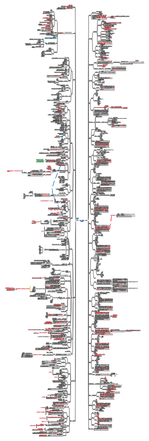 医学实践技能操作