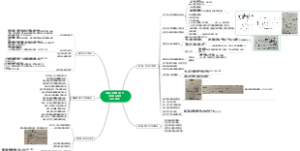 （初级注安师2022）生产安全务实（化工安全）