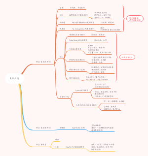 美白成分