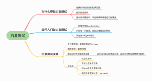 白盒测试实践