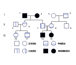 遗传系谱图范例