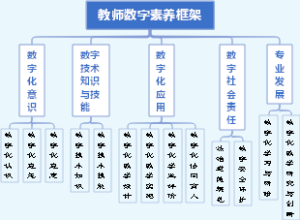 教师数字素养框架