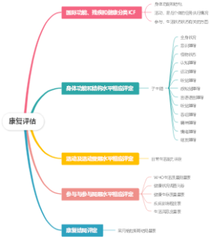 康复评估